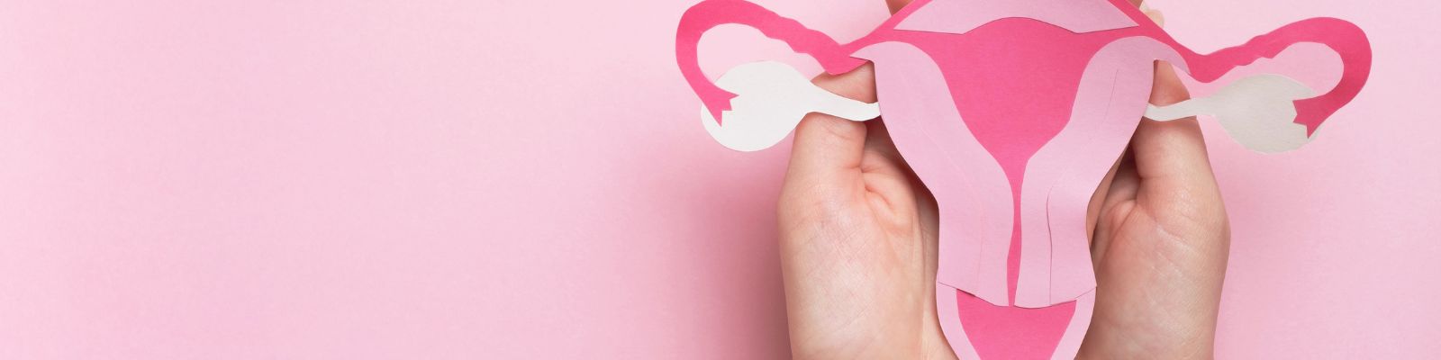 Cosmetic Gynaecology